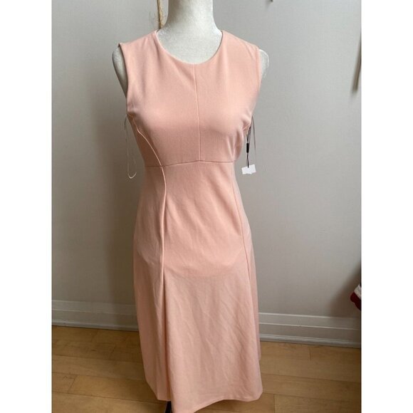 Calvin Klein Women seamed sleeveless in nectar Dress BNWOT sz 4 - Picture 2 of 7